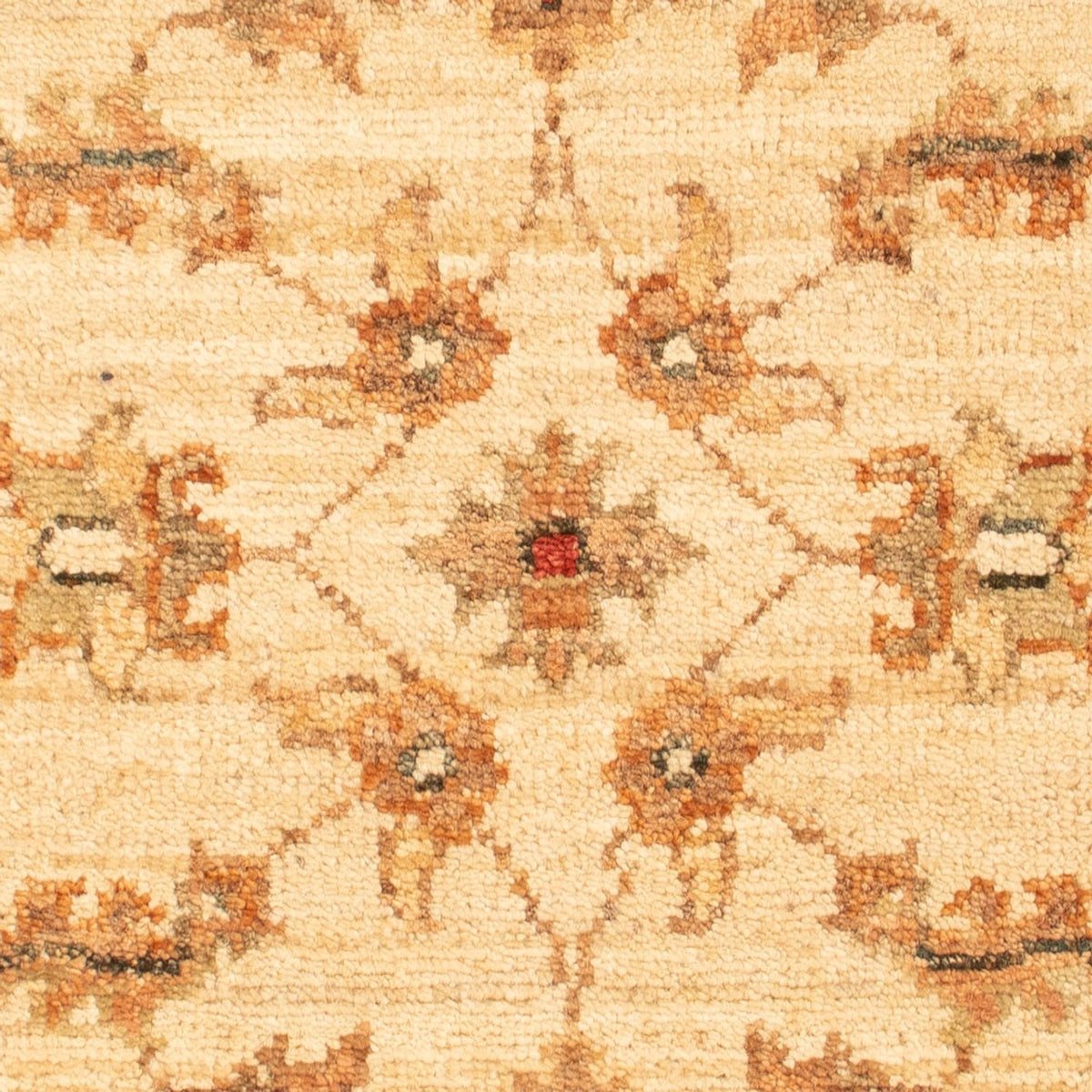 Tapis Ziegler - 67 x 50 cm - beige