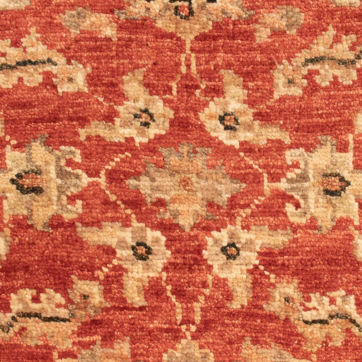 Tapis Ziegler - 66 x 47 cm - rouge