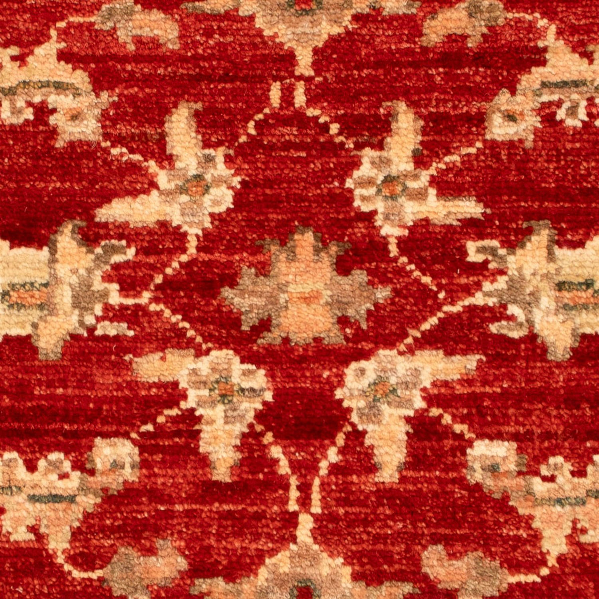 Tapis Ziegler - 68 x 51 cm - rouge