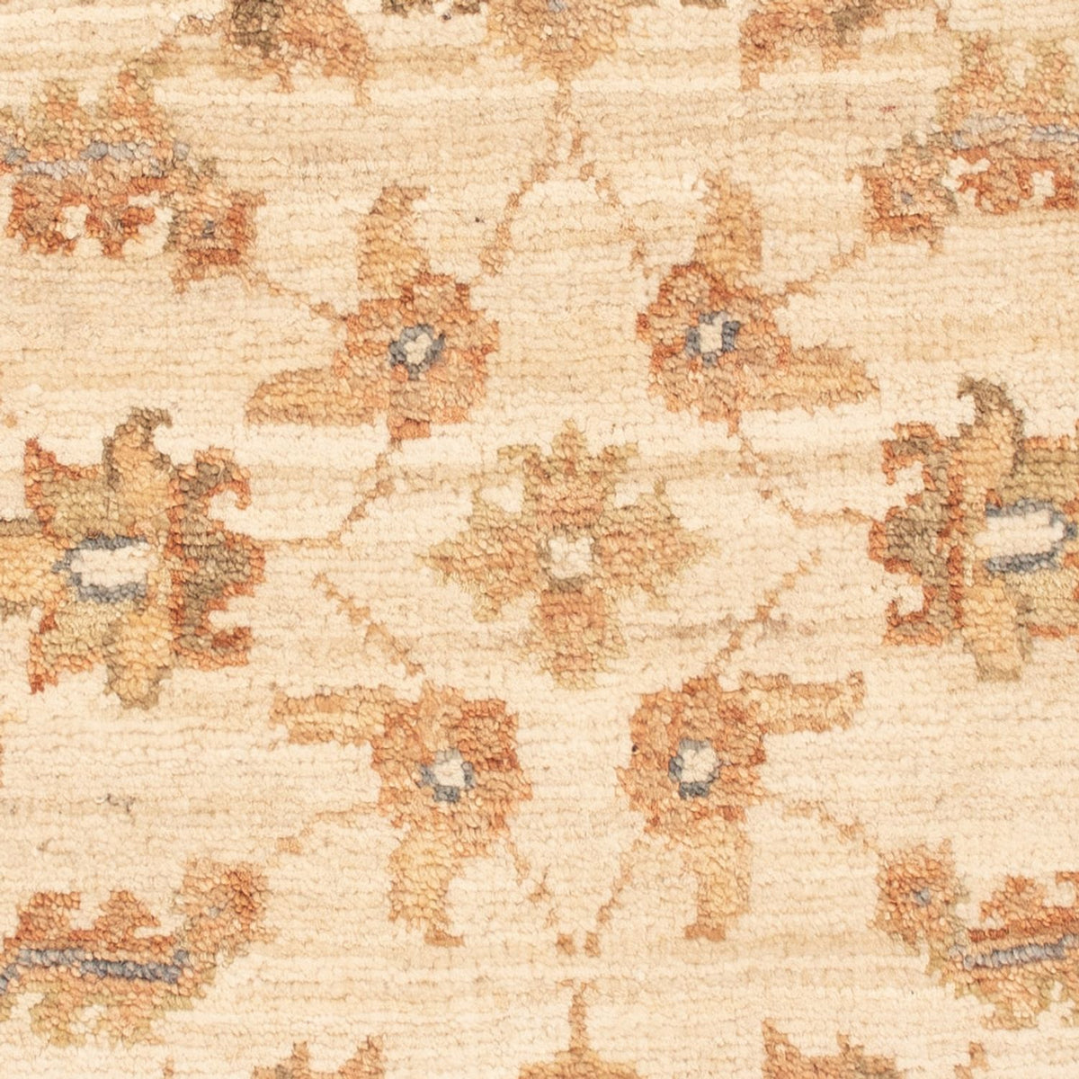 Tapis Ziegler - 68 x 50 cm - beige