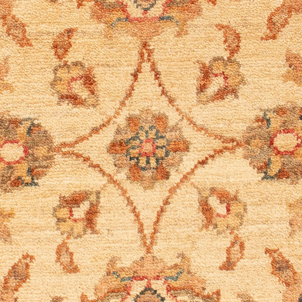 Tapis Ziegler - 70 x 51 cm - beige