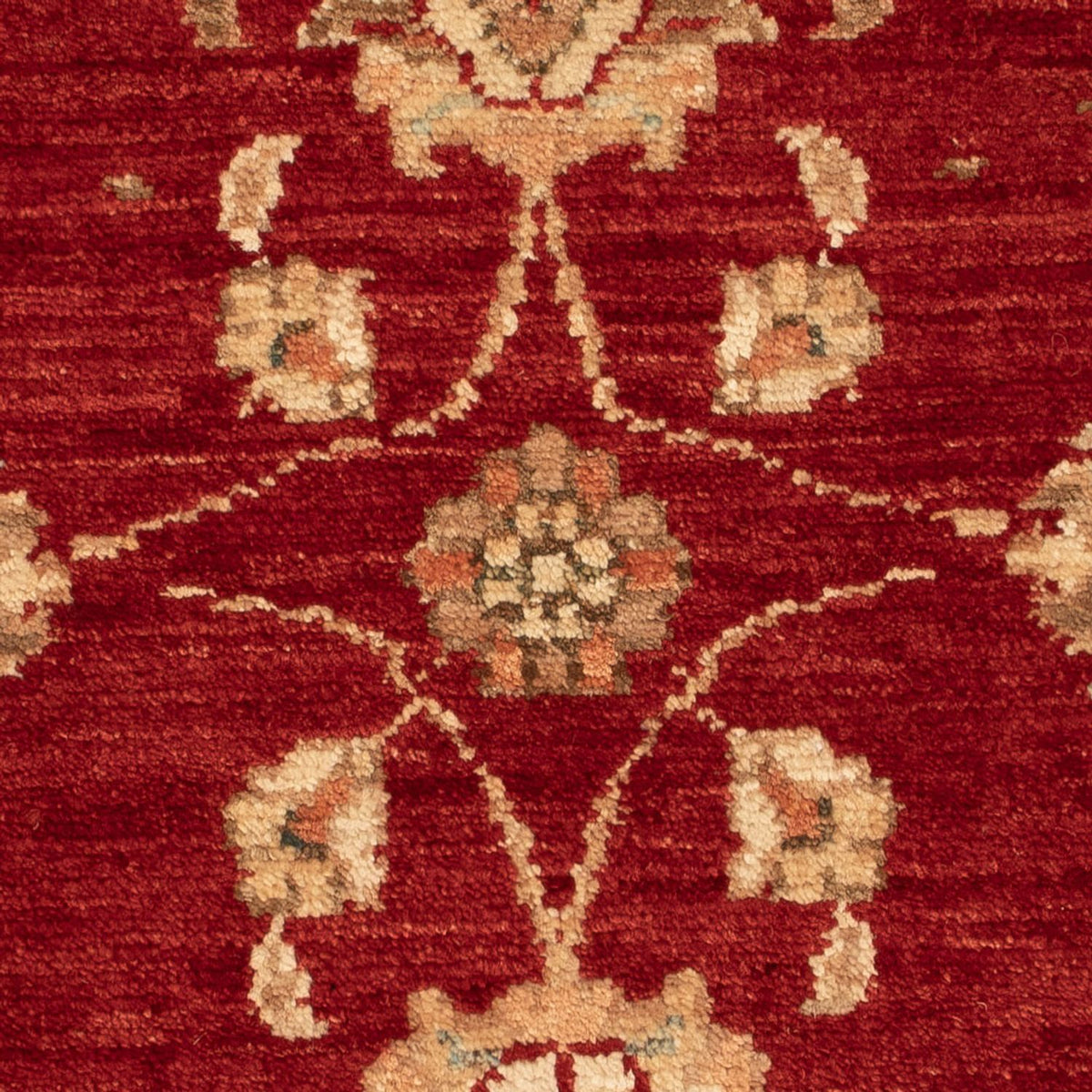 Tapis Ziegler - 70 x 54 cm - rouge bordeaux