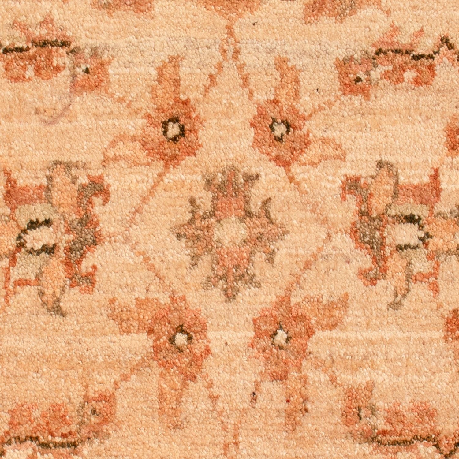 Tapis Ziegler - 73 x 56 cm - beige