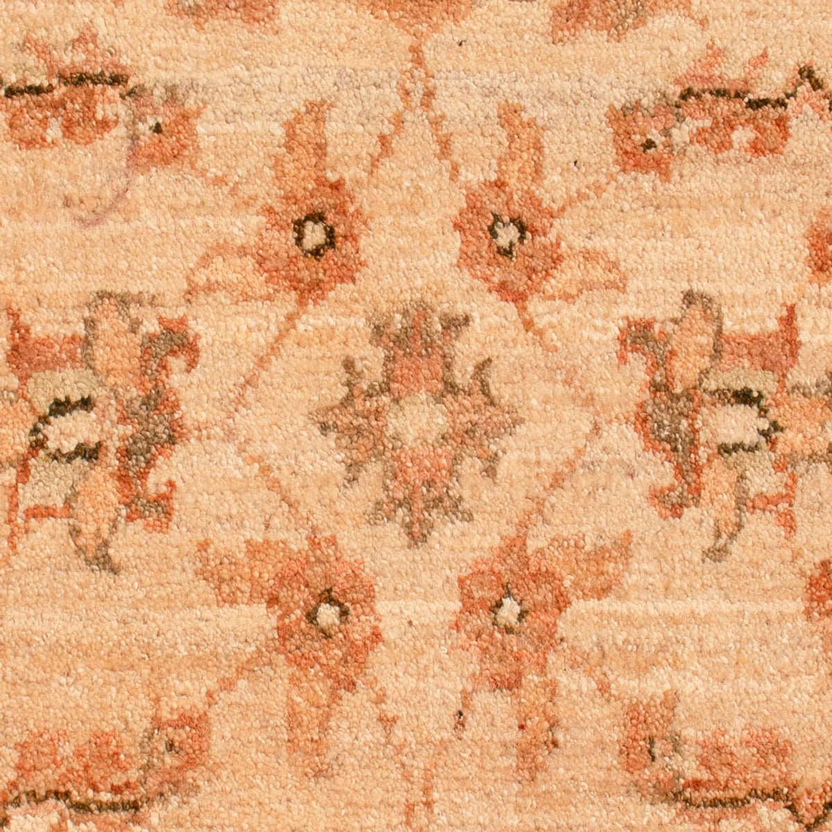 Tapis Ziegler - 73 x 56 cm - beige