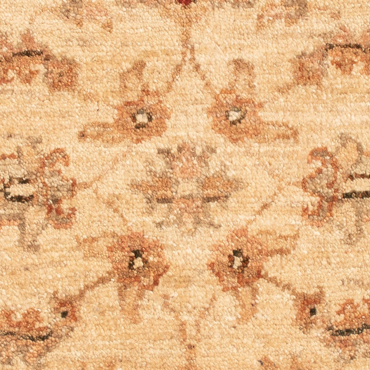 Tapis Ziegler - 66 x 51 cm - beige