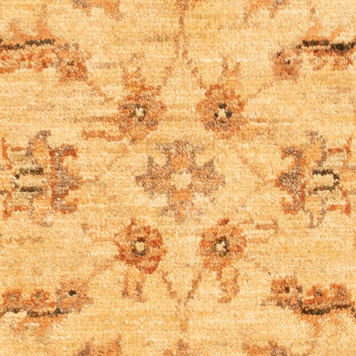 Tapis Ziegler - 70 x 52 cm - beige