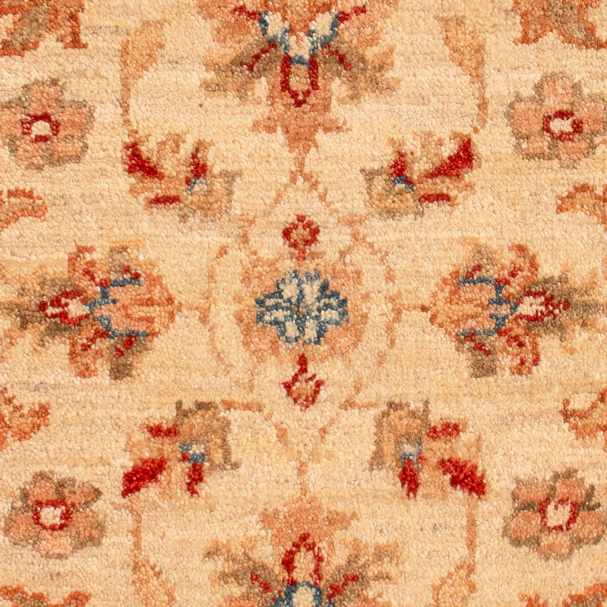 Tapis Ziegler - 70 x 52 cm - beige