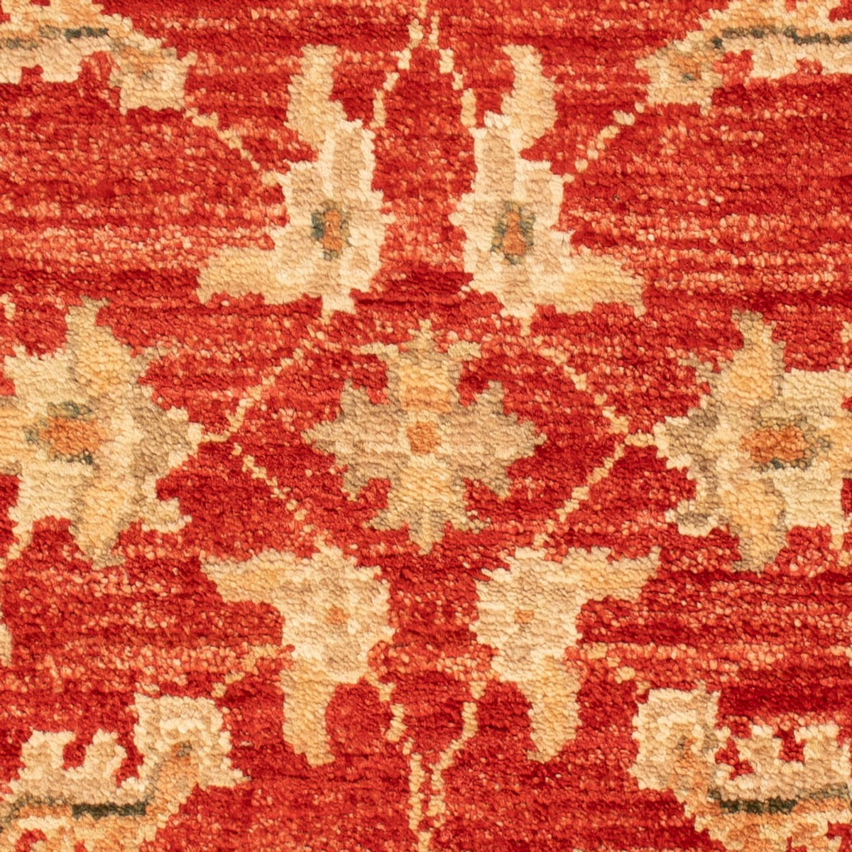 Tapis Ziegler - 69 x 52 cm - rouge