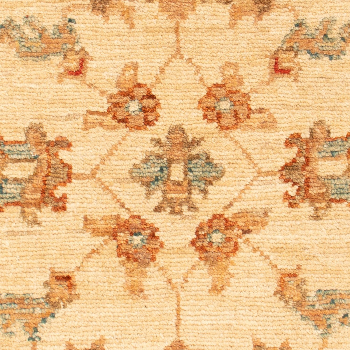 Tapis Ziegler - 72 x 53 cm - beige