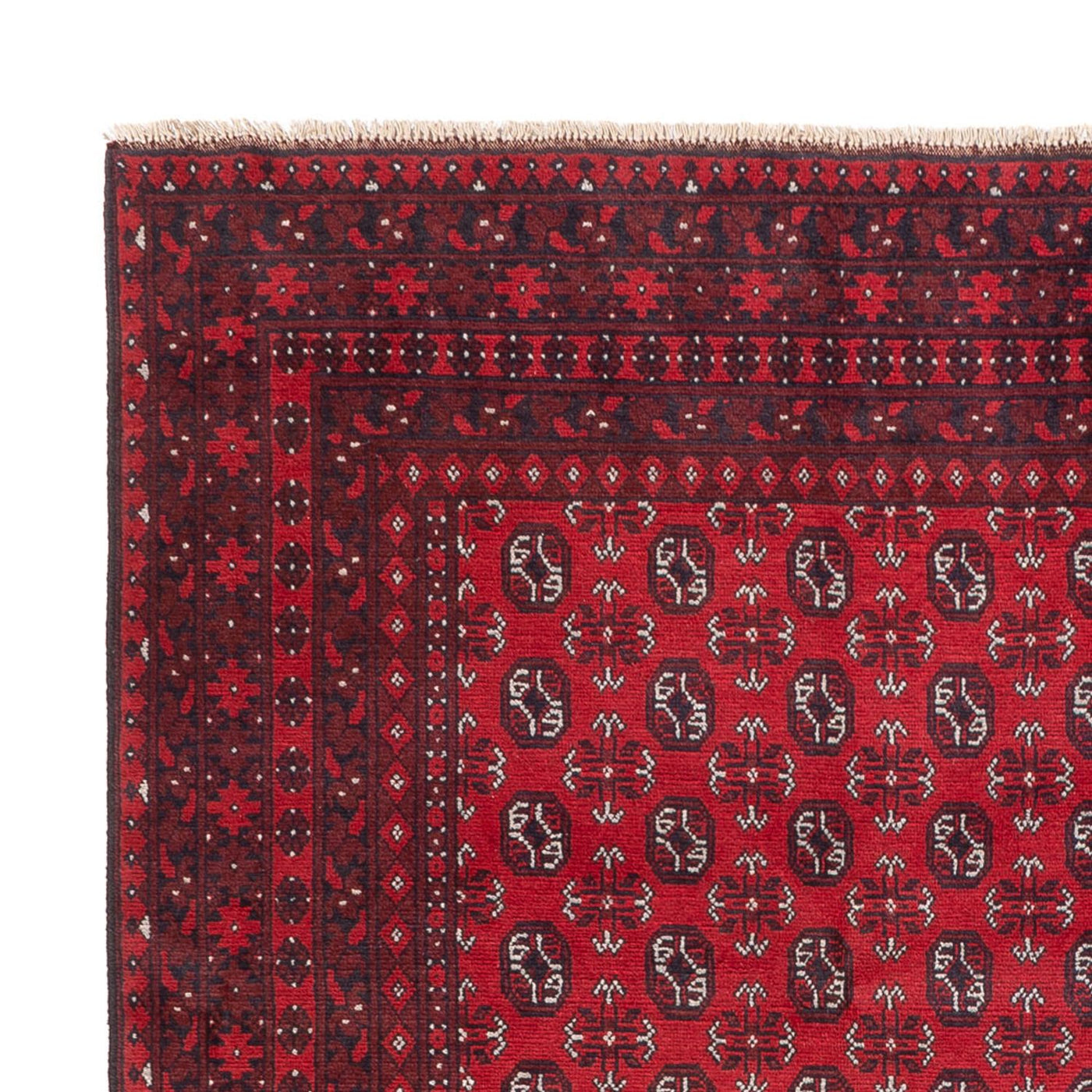Akhche Tapis 302x245cm - Tapis oriental