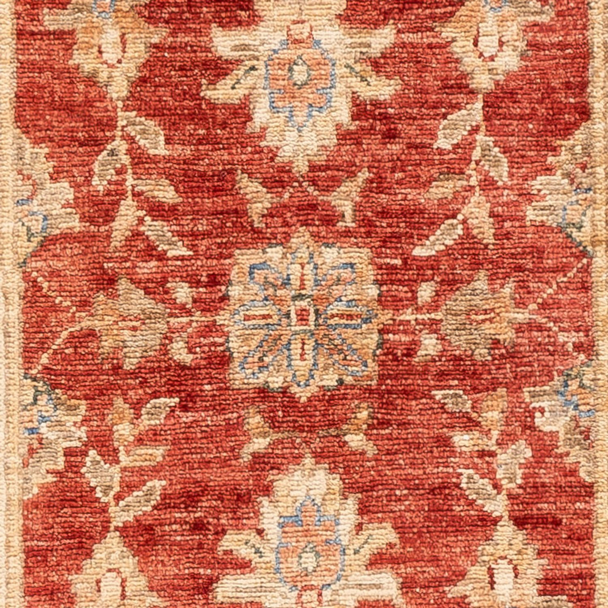 Tapis de couloir Tapis Ziegler - 147 x 51 cm - rouge