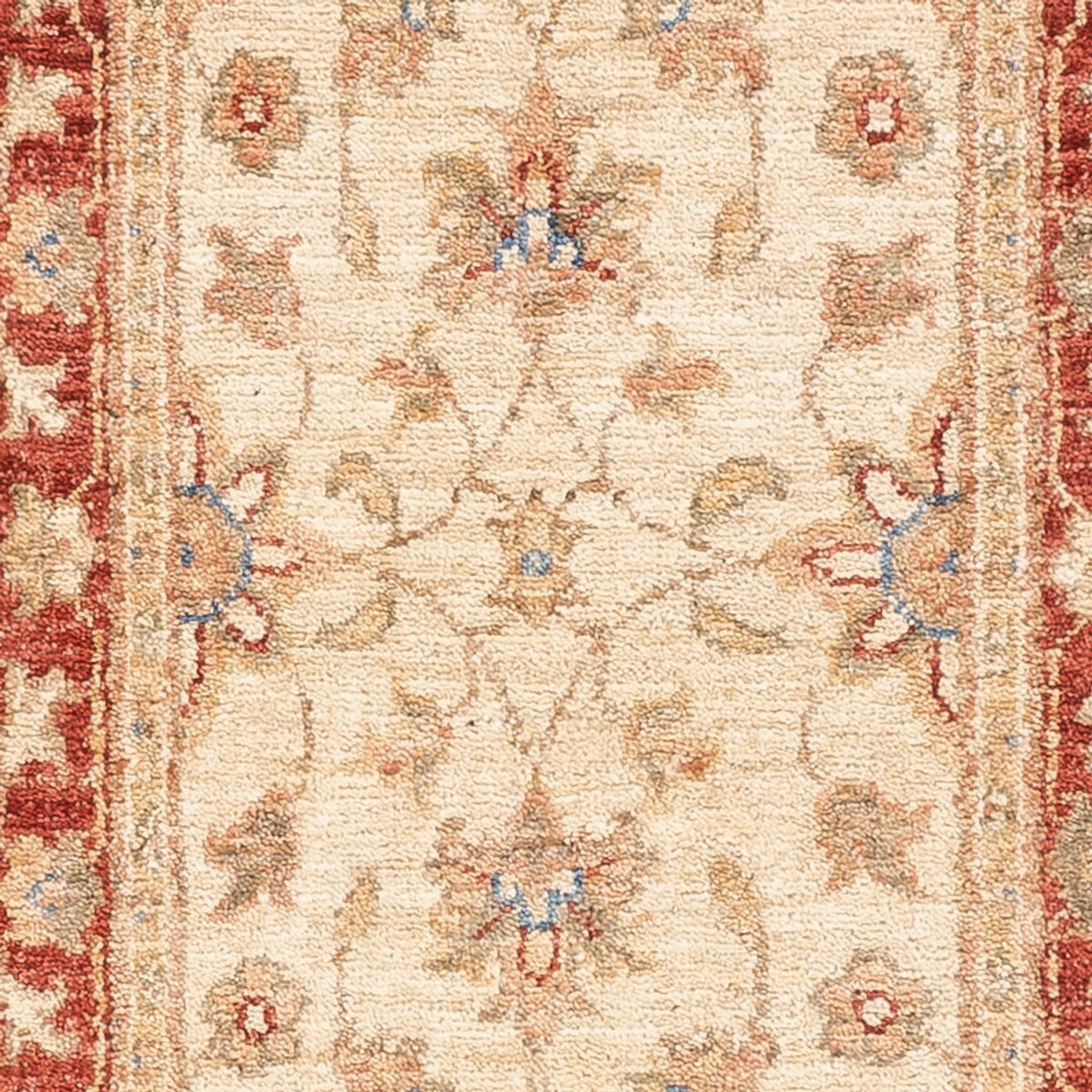 Tapis de couloir Tapis Ziegler - 157 x 49 cm - beige