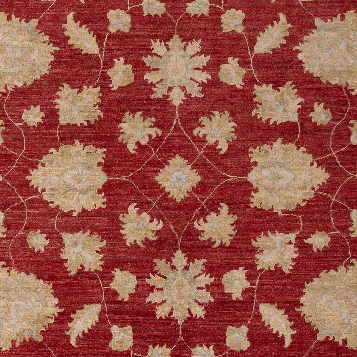 Tapis Ziegler - 299 x 206 cm - rouge foncé