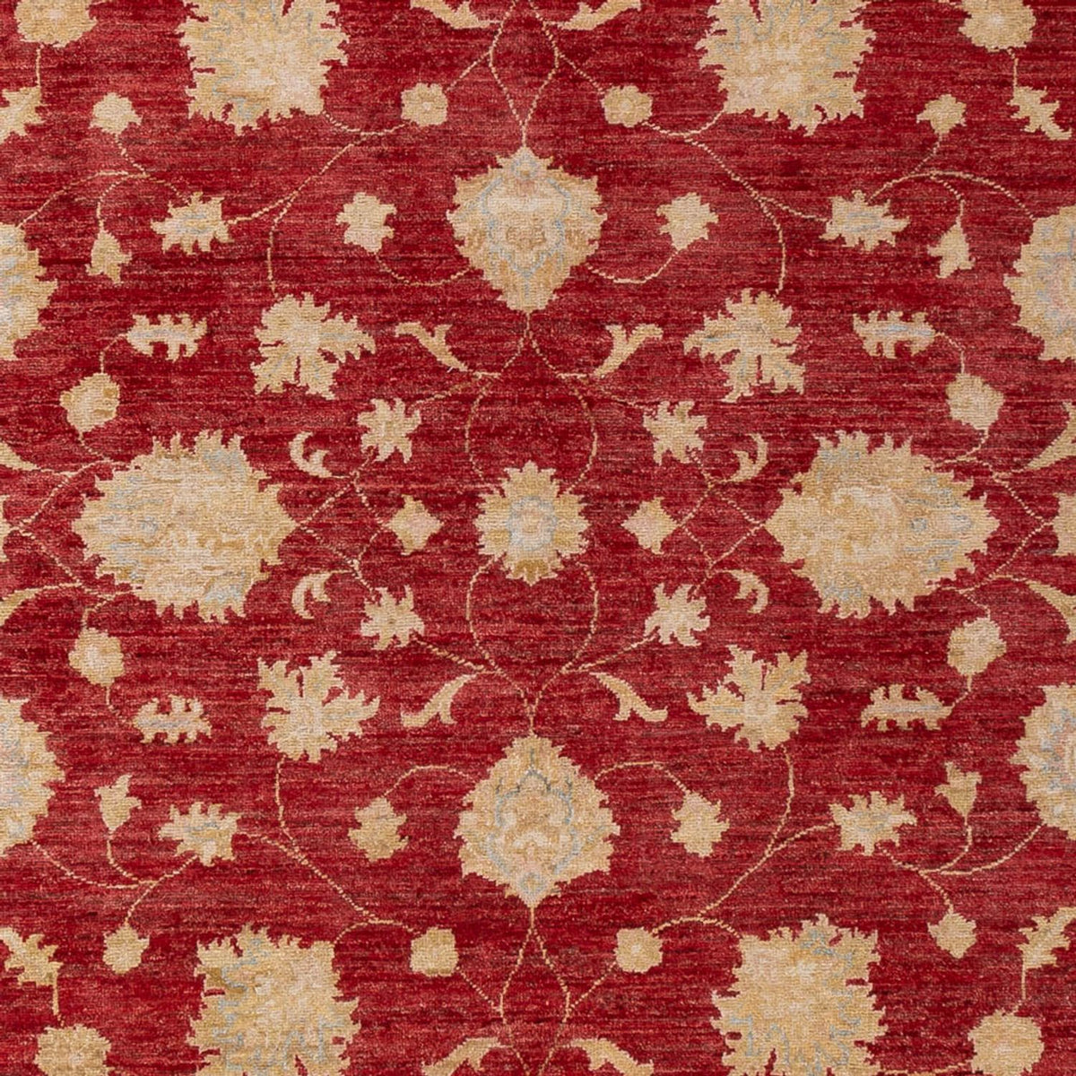 Tapis Ziegler - 297 x 209 cm - rouge foncé