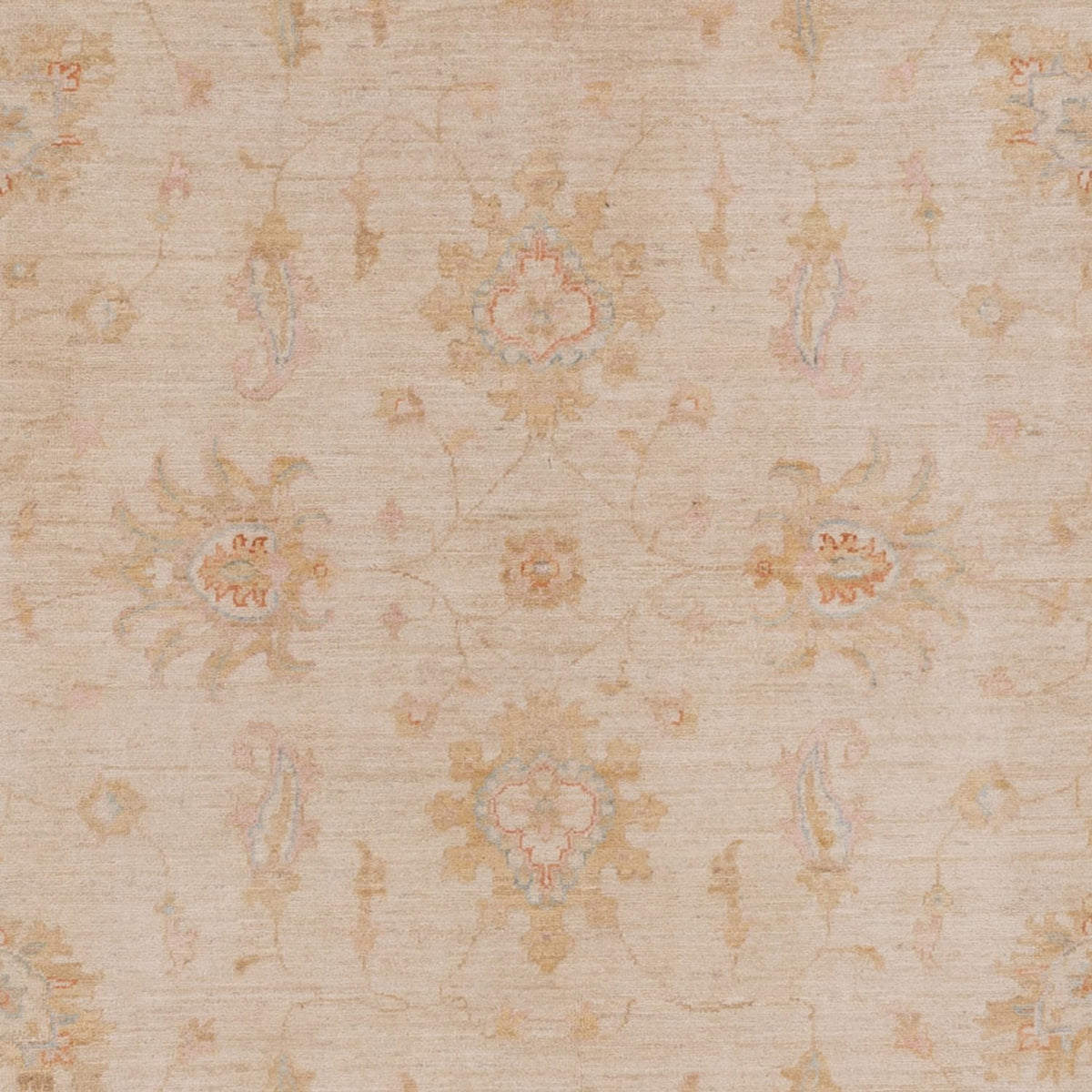 Tapis Ziegler - 296 x 200 cm - beige