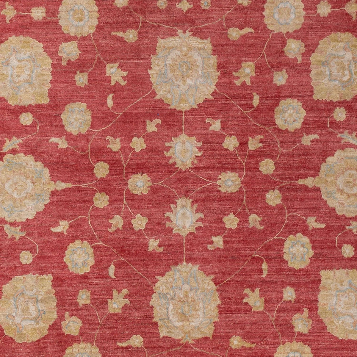 Tapis Ziegler - 320 x 207 cm - rouge foncé