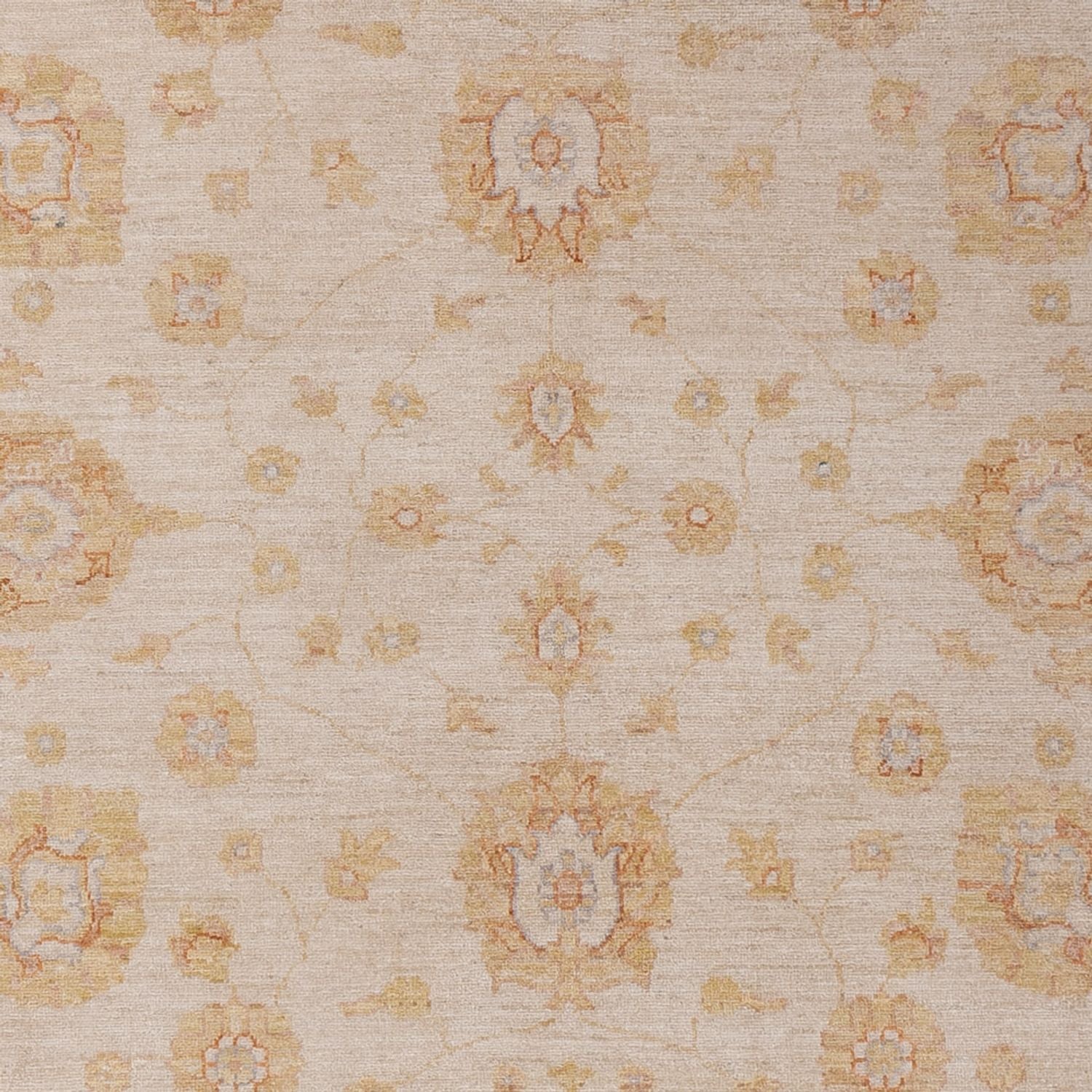 Tapis Ziegler - 292 x 206 cm - beige