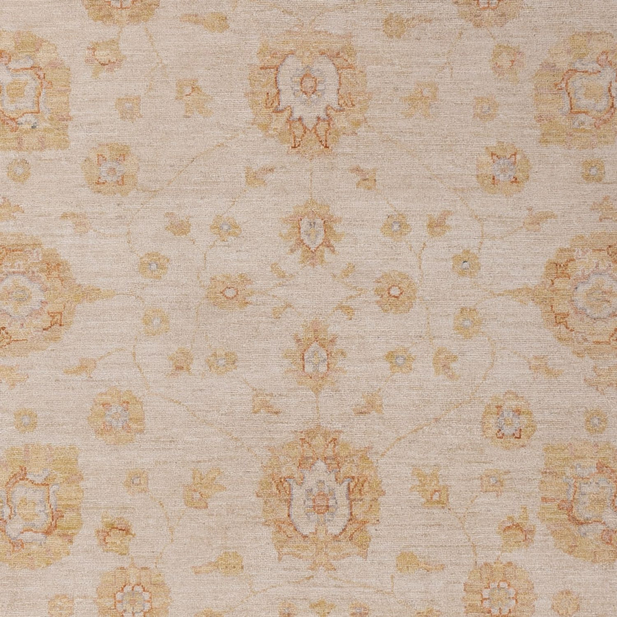 Tapis Ziegler - 292 x 206 cm - beige