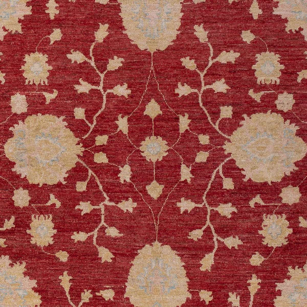 Tapis Ziegler - 300 x 205 cm - rouge foncé
