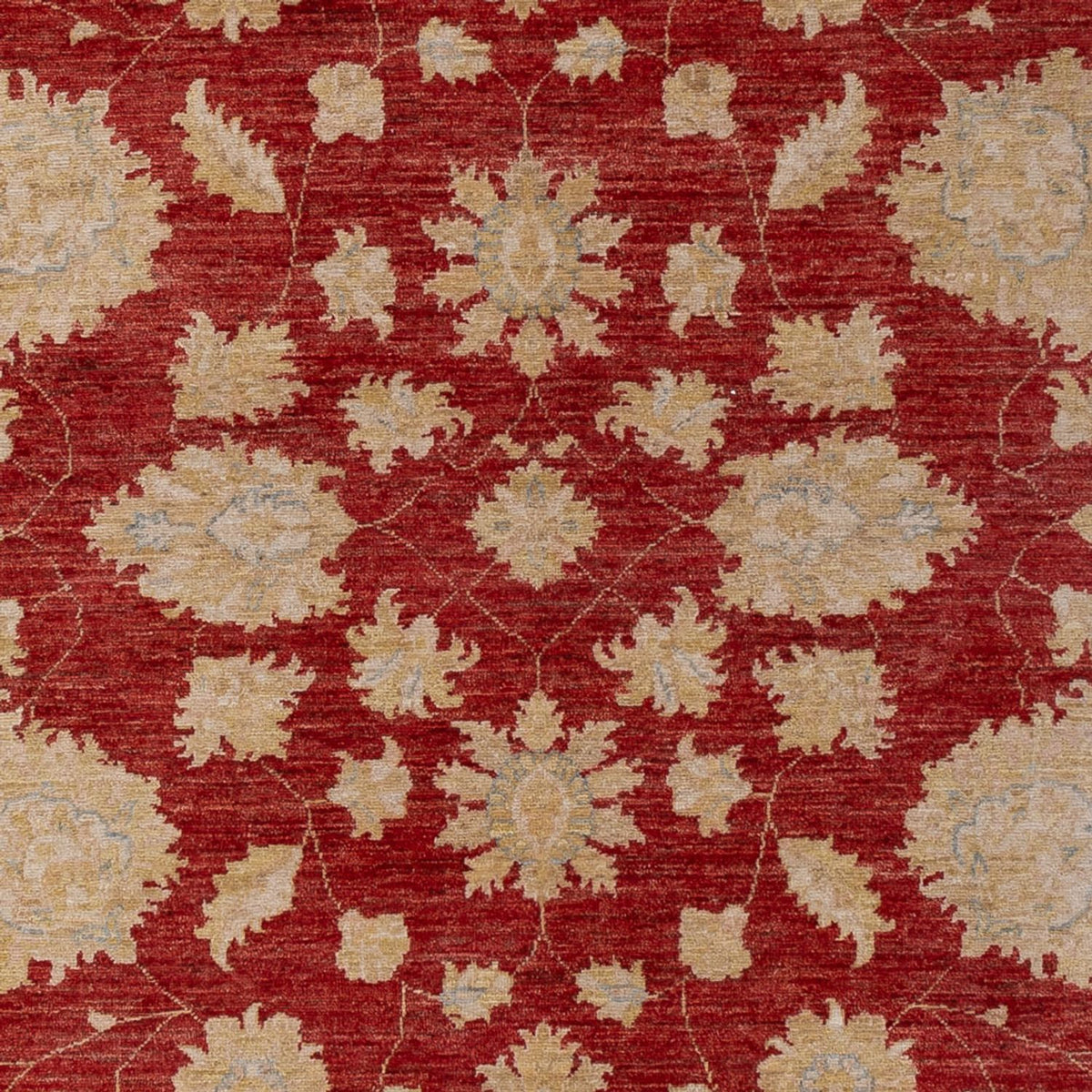 Tapis Ziegler - 295 x 201 cm - rouge foncé