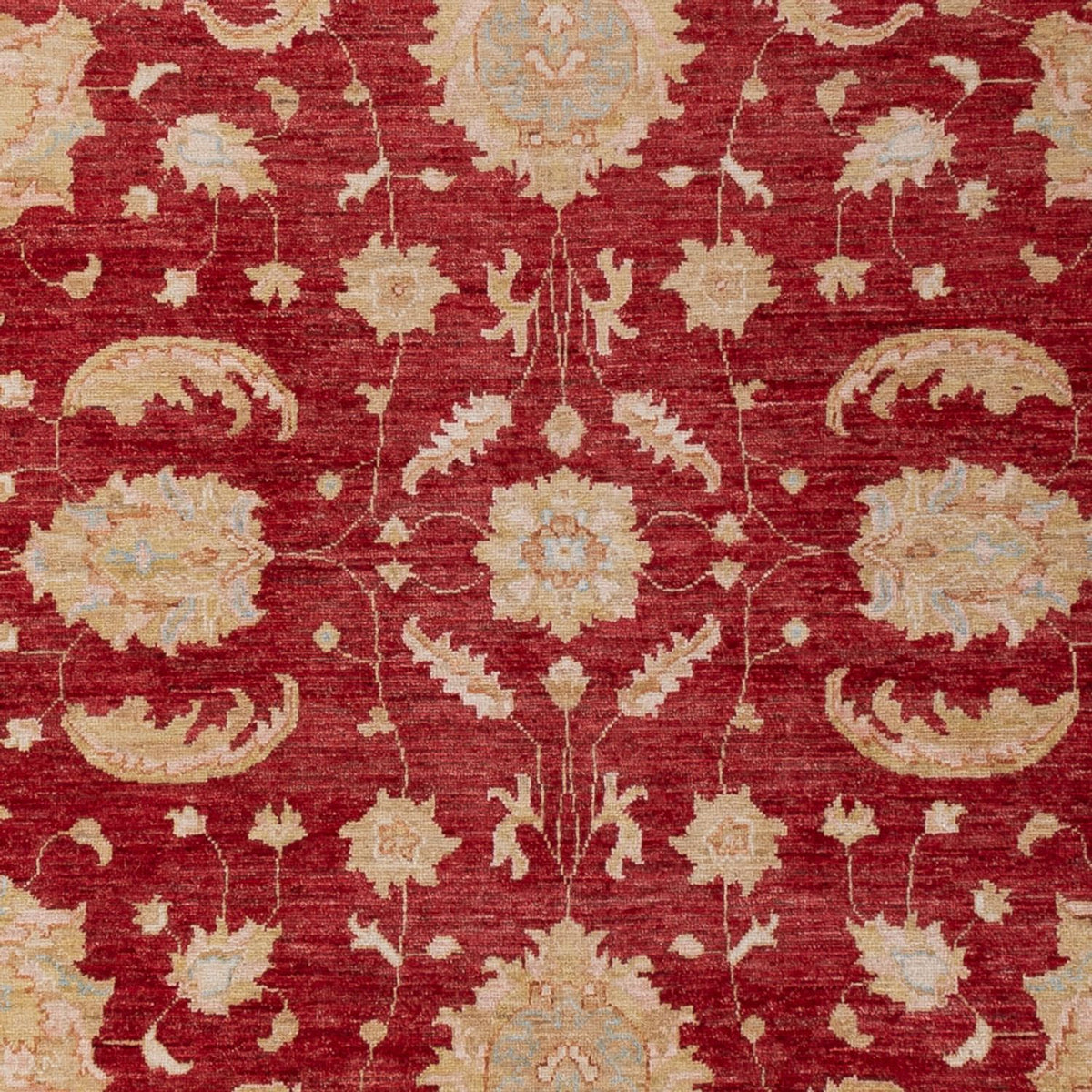 Tapis Ziegler - 303 x 204 cm - rouge foncé