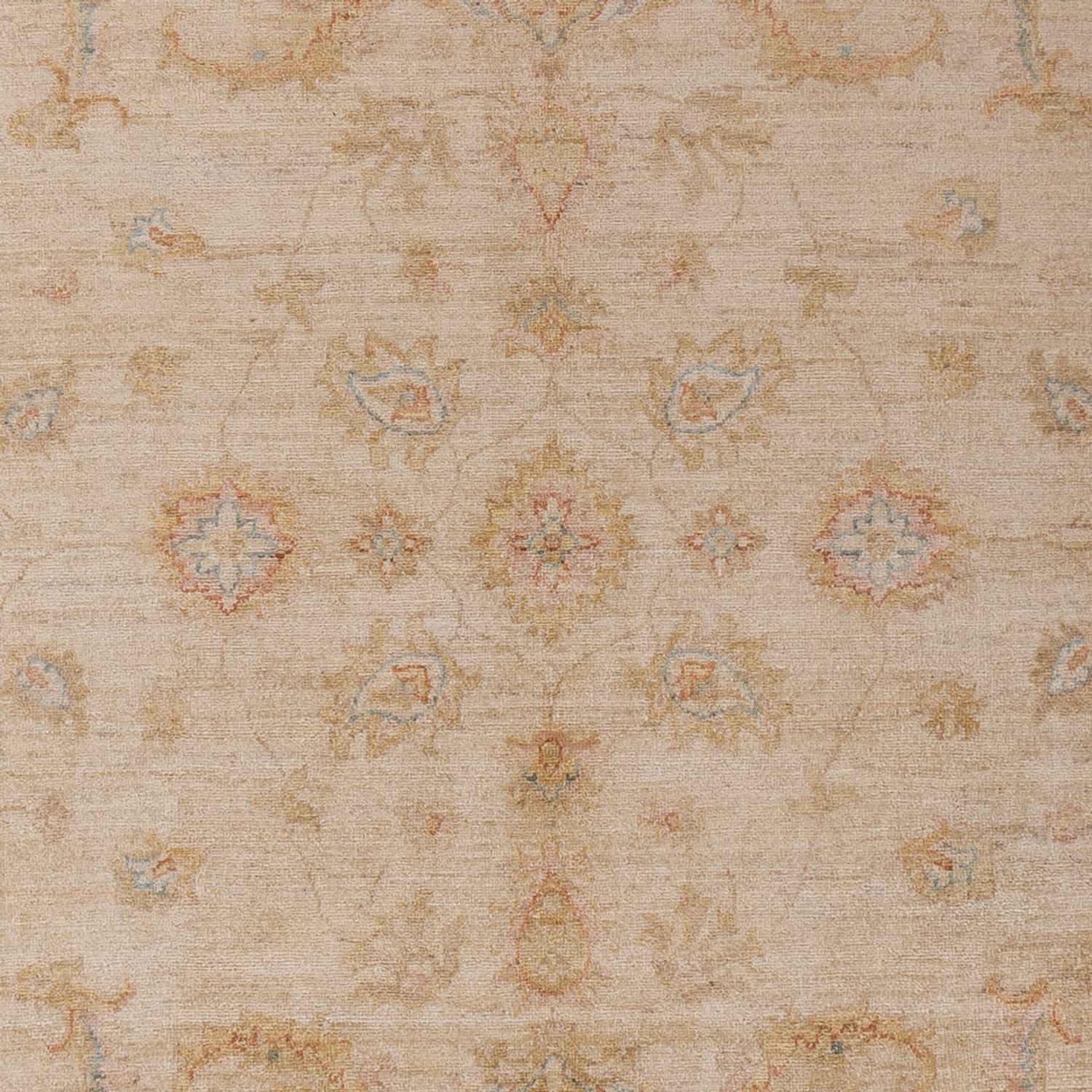 Tapis Ziegler - 304 x 206 cm - beige