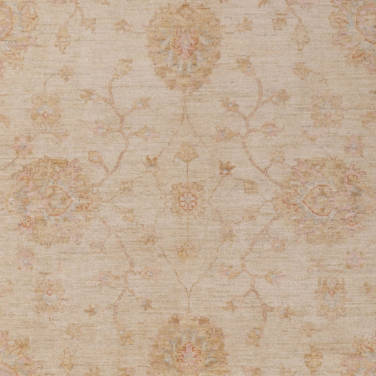 Tapis Ziegler - 293 x 208 cm - beige