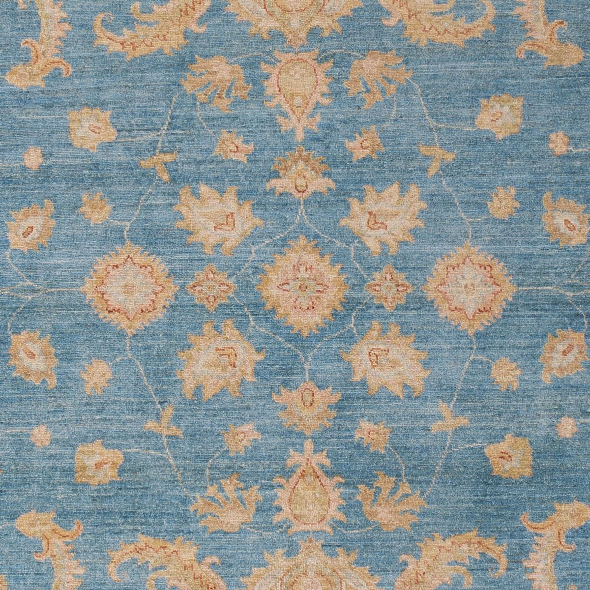Tapis Ziegler - 301 x 202 cm - bleu clair