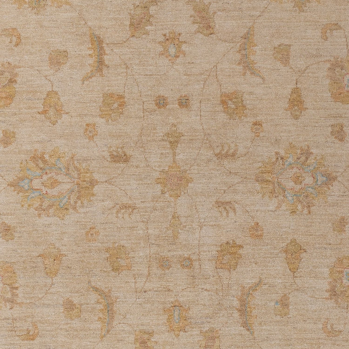 Tapis Ziegler - 299 x 205 cm - beige