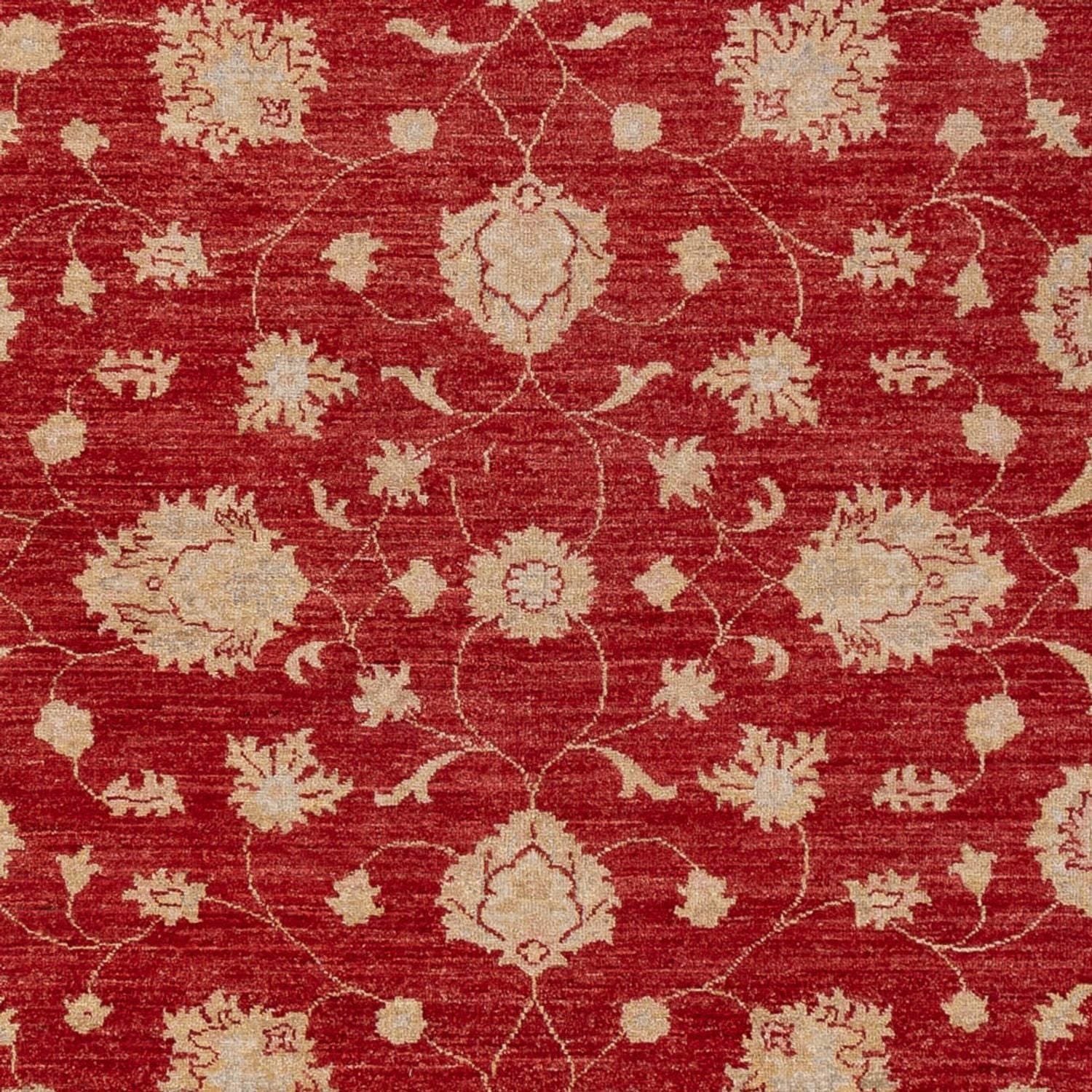 Tapis Ziegler - 298 x 210 cm - rouge