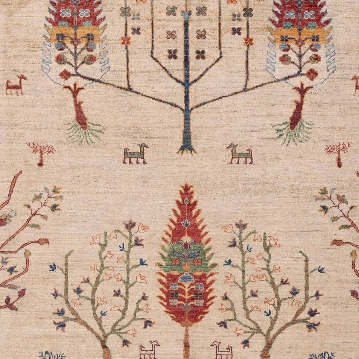 Tapis Ziegler - Ariana - 299 x 209 cm - beige