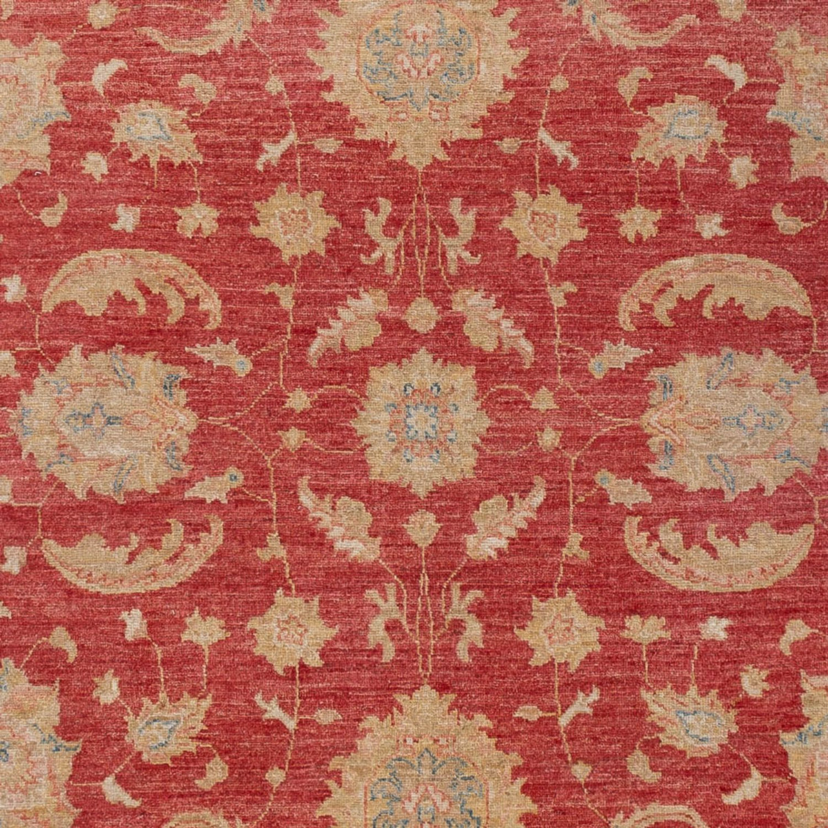 Tapis Ziegler - 297 x 202 cm - rouge