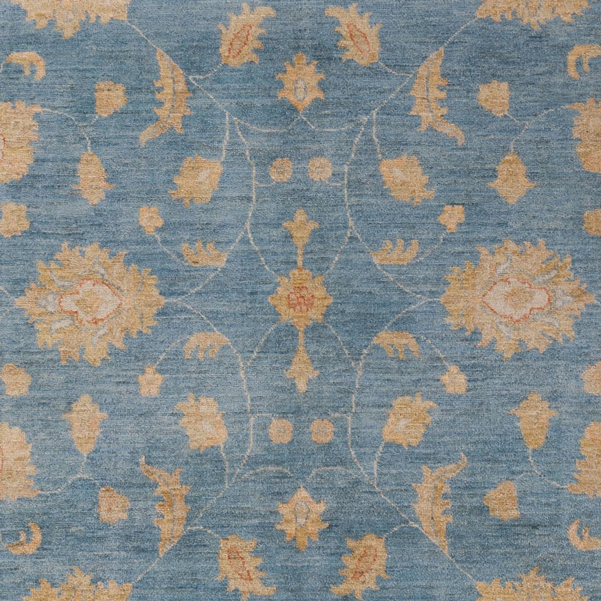 Tapis Ziegler - 300 x 207 cm - bleu