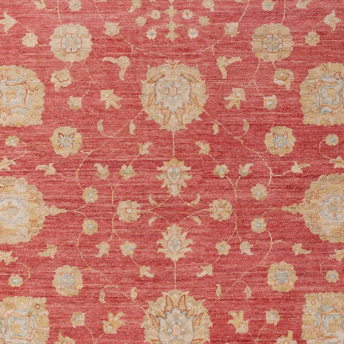 Tapis Ziegler - 293 x 205 cm - rouge