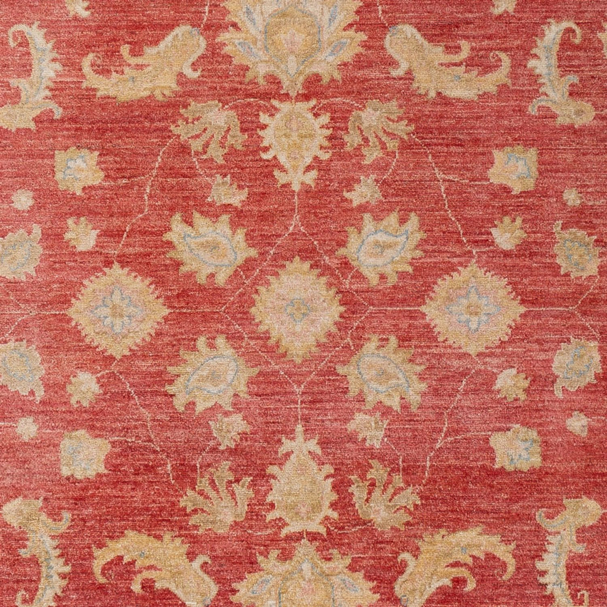 Tapis Ziegler - 303 x 210 cm - rouge