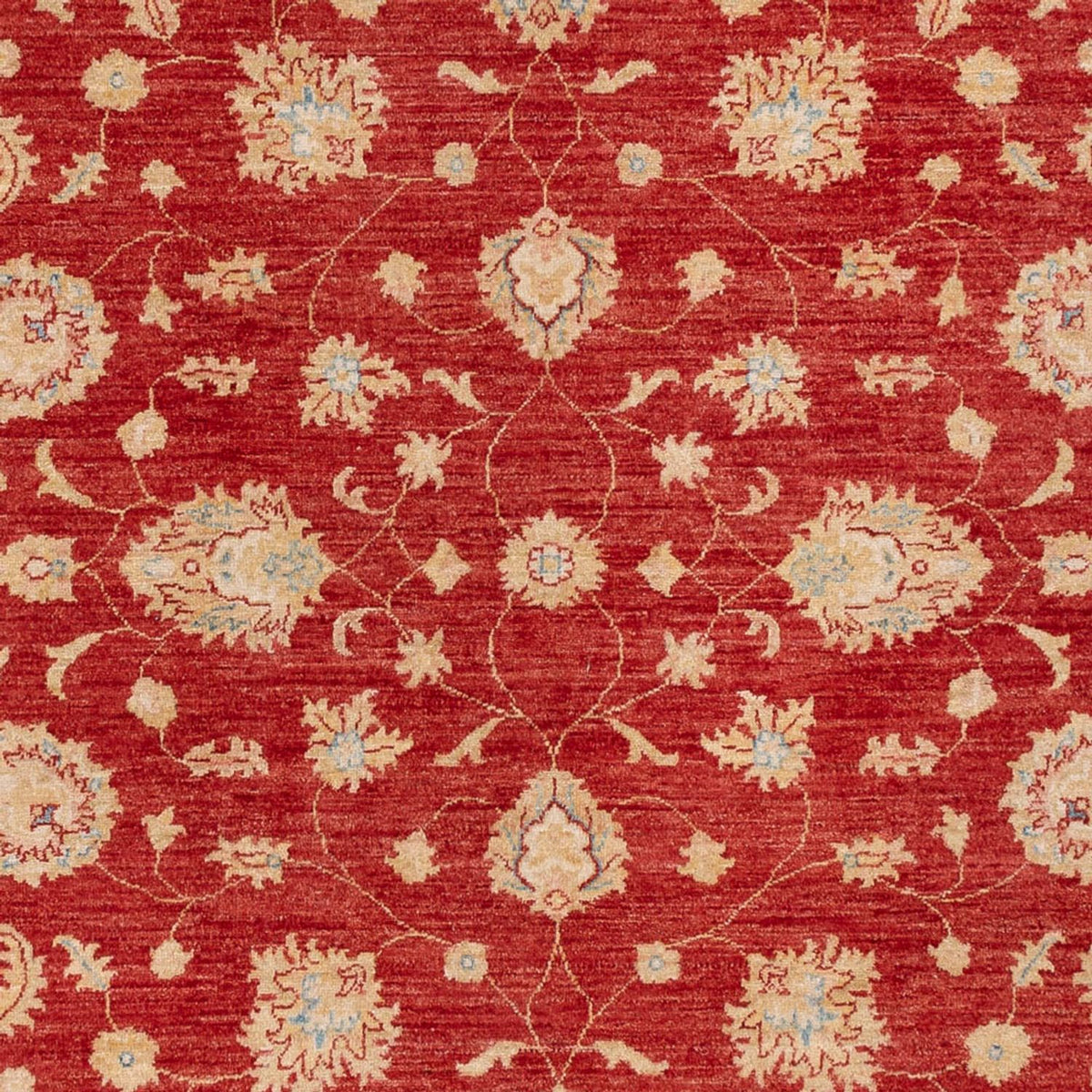Tapis Ziegler - 295 x 204 cm - rouge