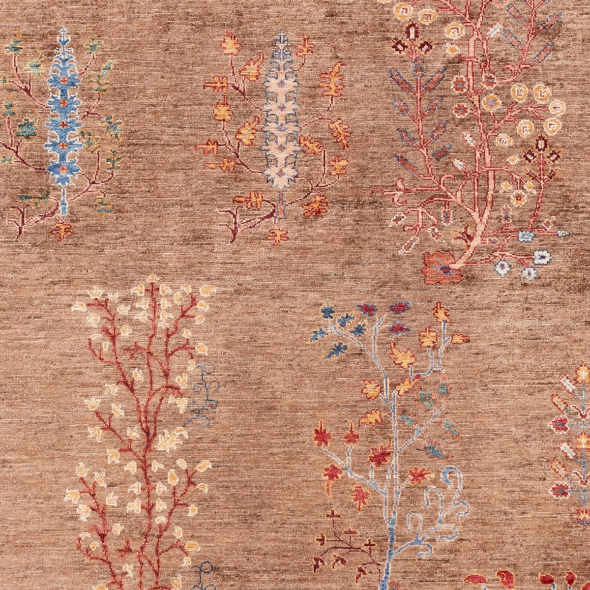 Tapis Ziegler - Ariana - 298 x 206 cm - beige foncé