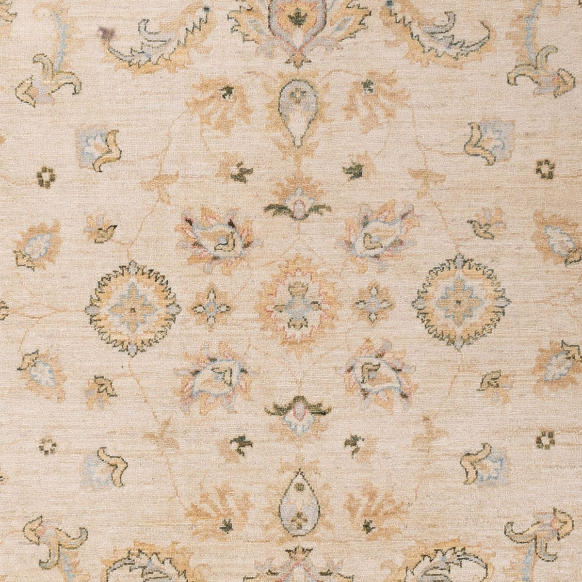 Tapis Ziegler - 304 x 204 cm - beige