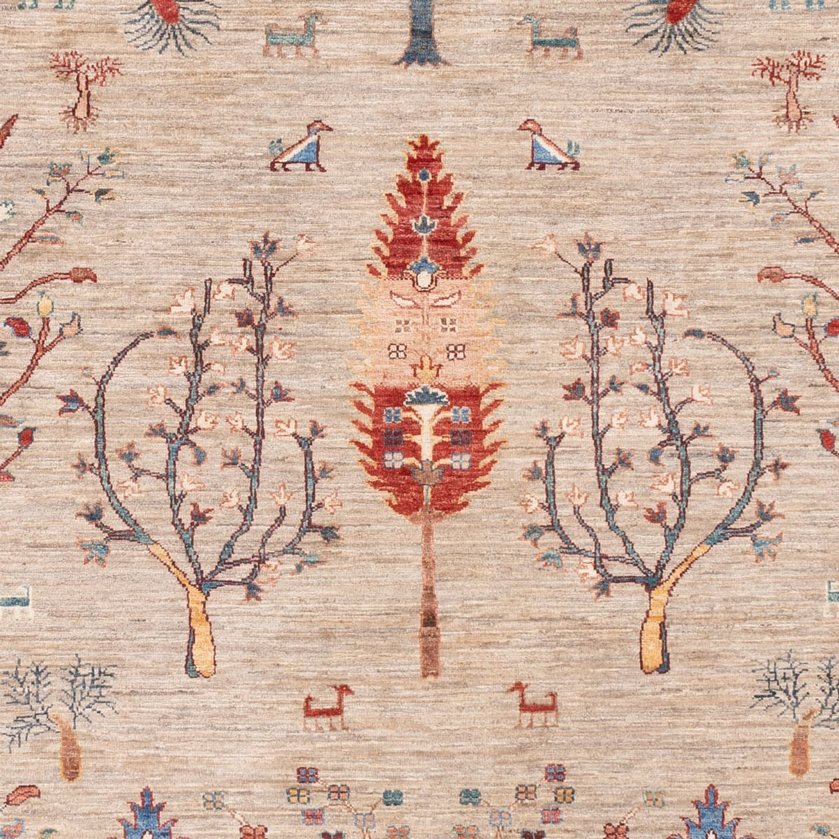 Tapis Ziegler - Ariana - 285 x 207 cm - beige