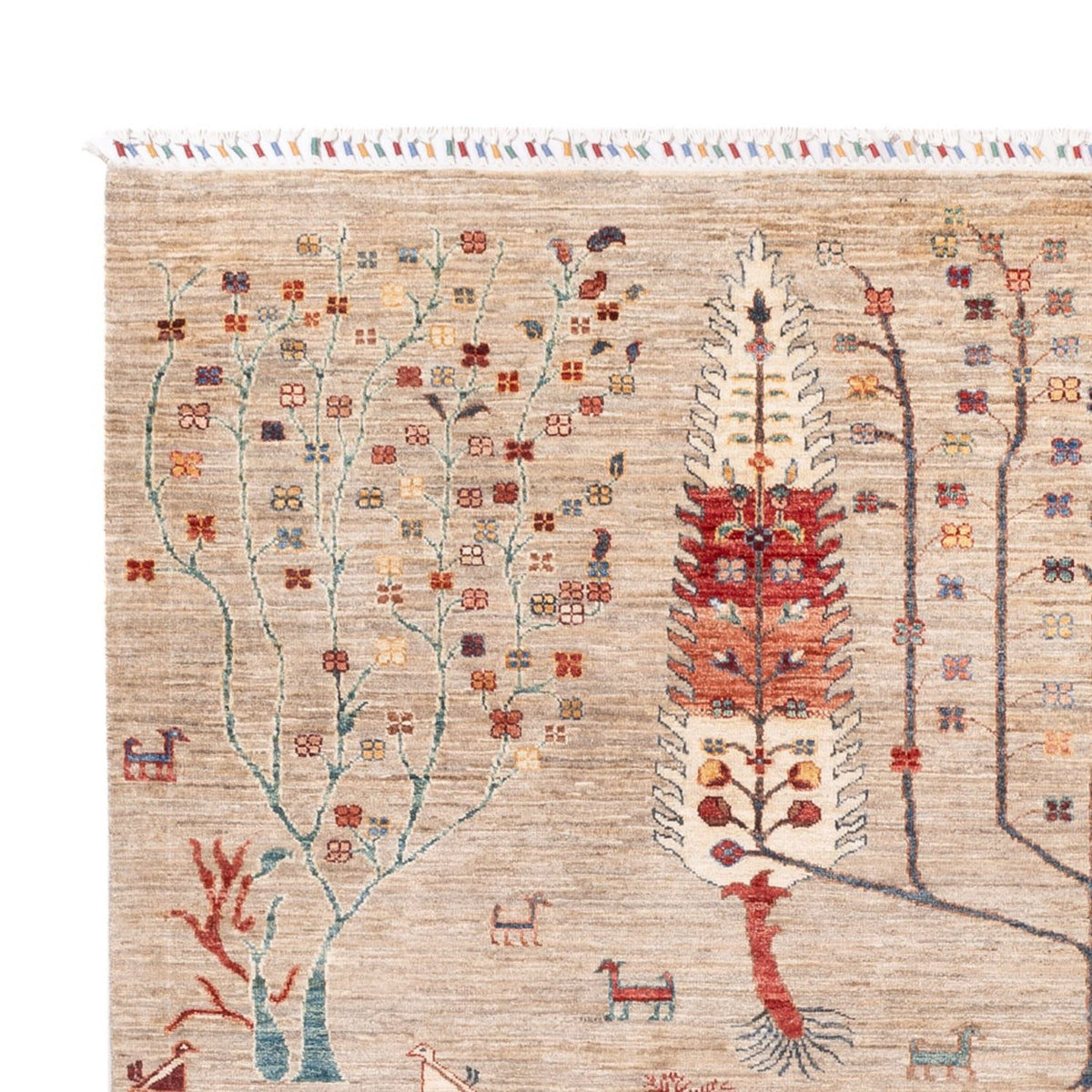 Tapis Ziegler - Ariana - 285 x 207 cm - beige