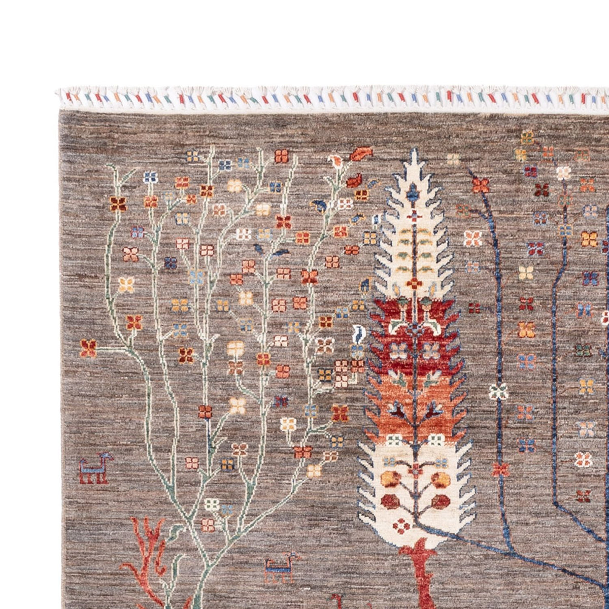 Tapis Ziegler - Ariana - 298 x 200 cm - beige foncé