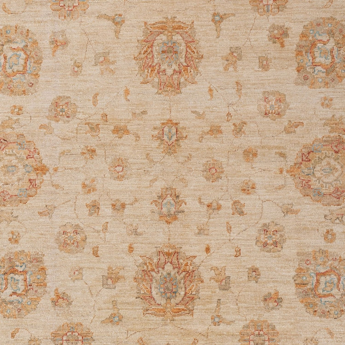 Tapis Ziegler - 299 x 205 cm - beige