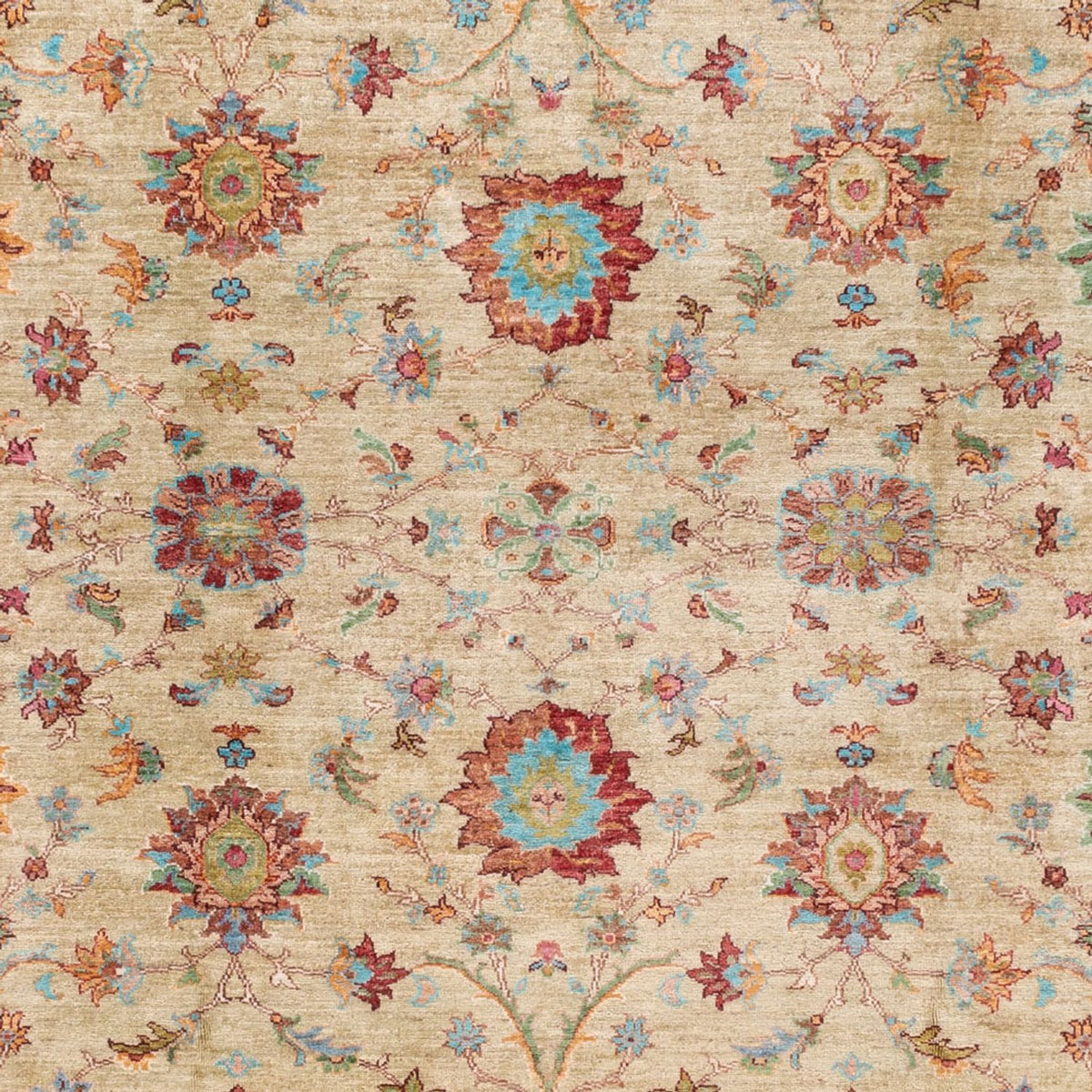 Tapis Ziegler - Ariana - 300 x 242 cm - beige