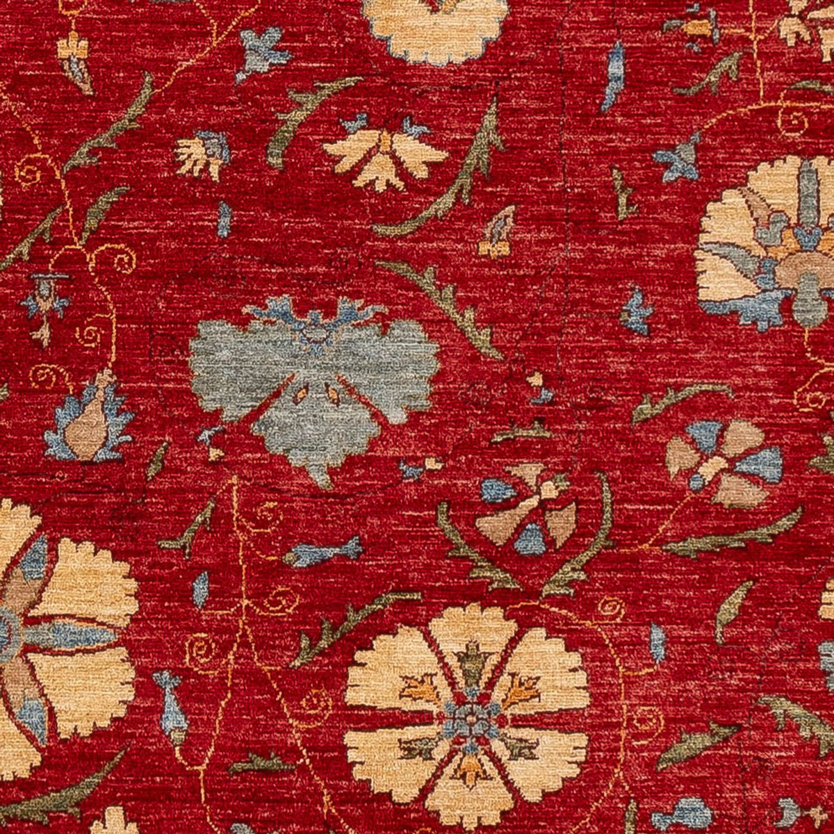 Tapis Ziegler - Ariana - 236 x 172 cm - rouge