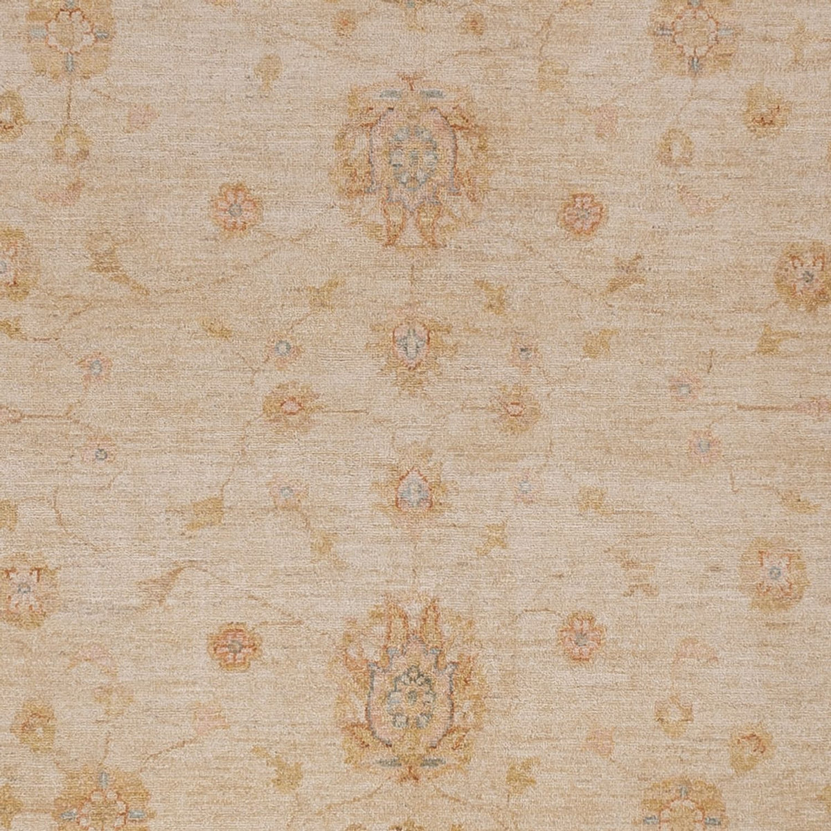 Tapis Ziegler - 298 x 258 cm - beige