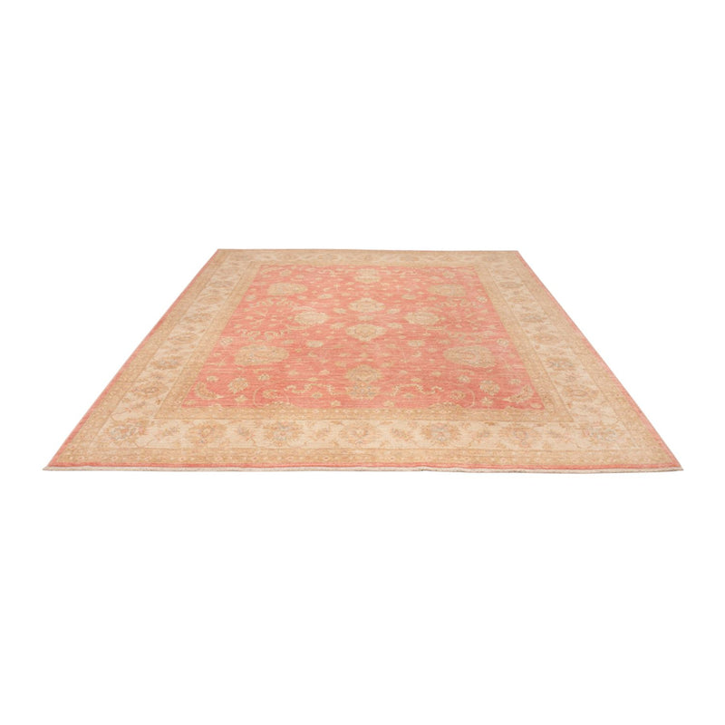 Tapis Ziegler - 301 x 254 cm - rouge clair