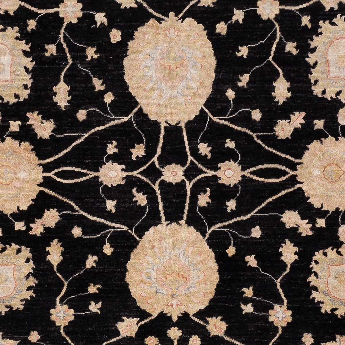 Tapis Ziegler - 300 x 252 cm - noir