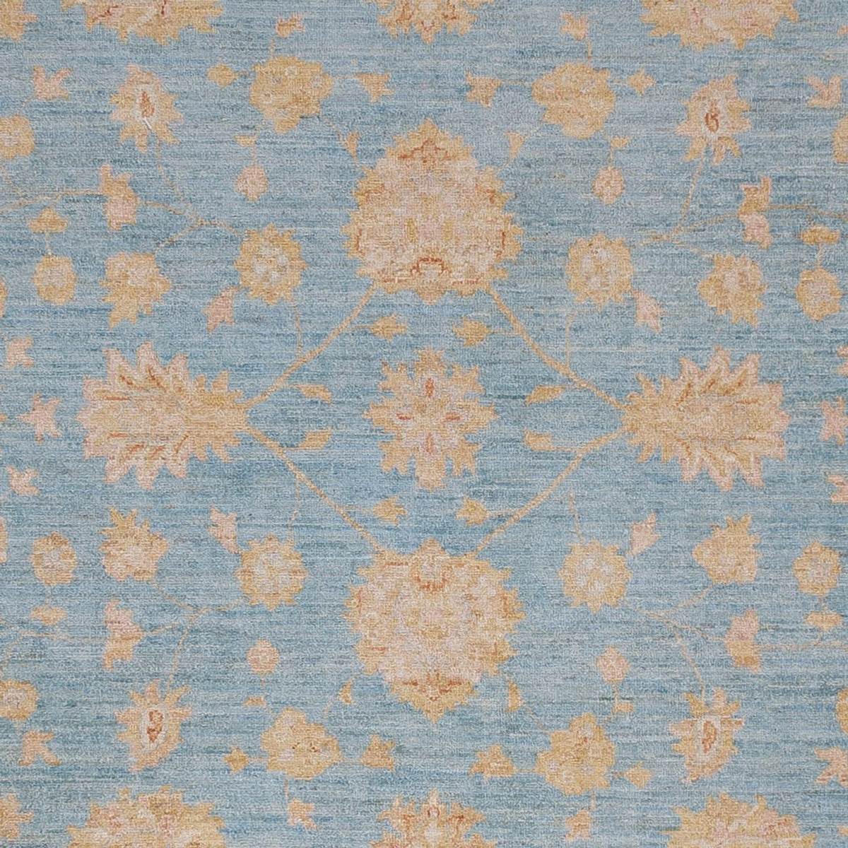 Tapis Ziegler - 302 x 258 cm - bleu clair