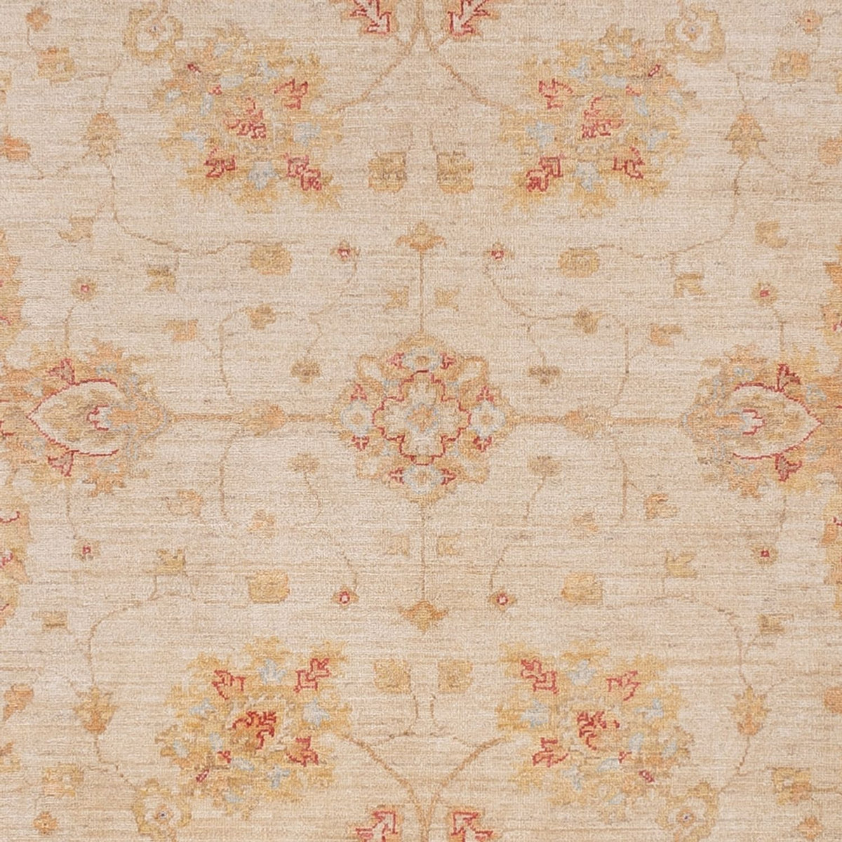Tapis Ziegler - 319 x 246 cm - beige