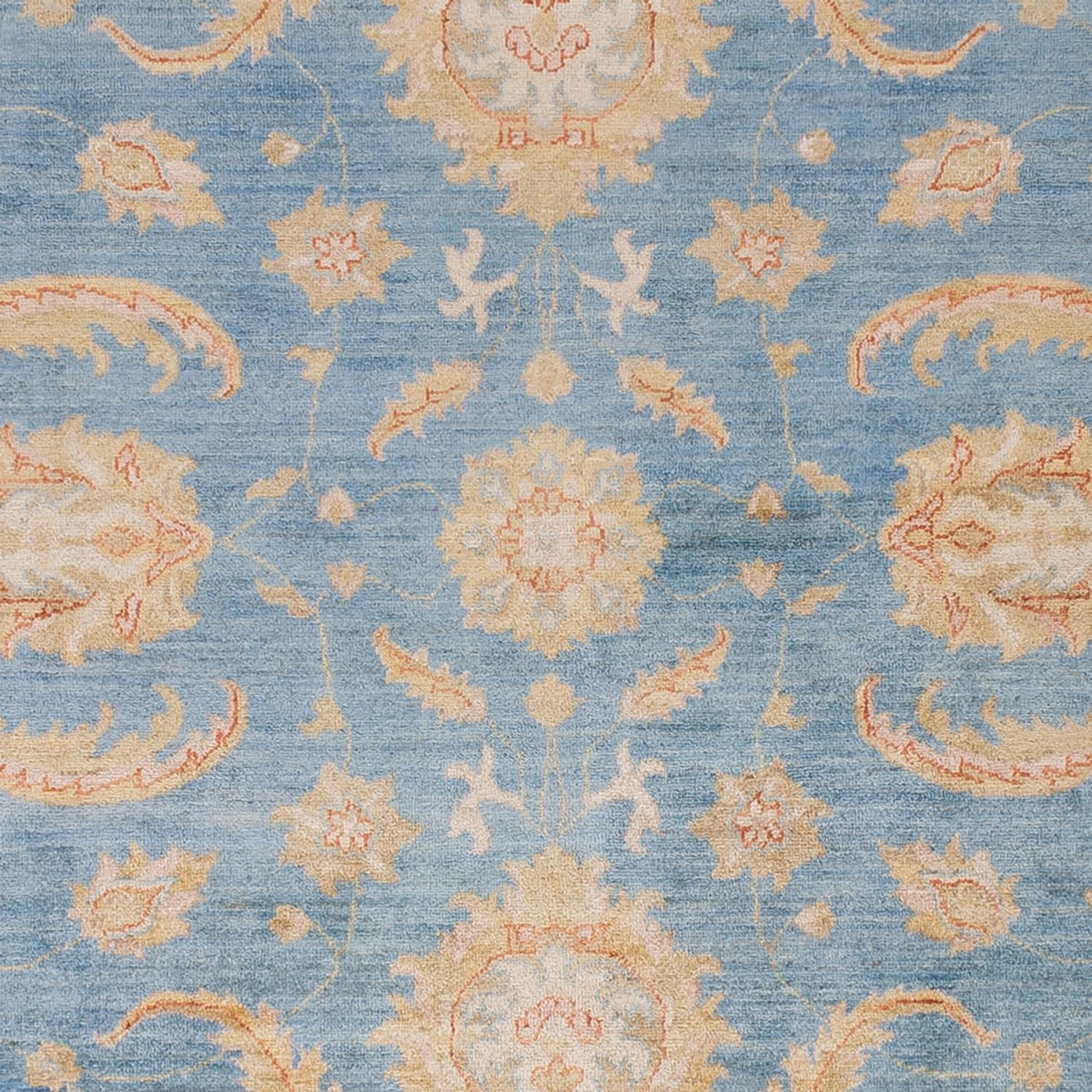 Tapis Ziegler - 297 x 255 cm - bleu clair